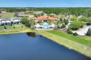 146 African Daisy Ct, Davenport, FL 33837 - Photo 48