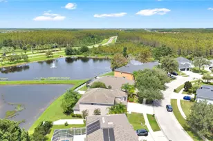 3247 Chessington Dr, Land O Lakes, FL 34638 - Photo 42