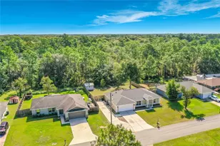 31 Fir Dr, Ocala, FL 34472 - Photo 4