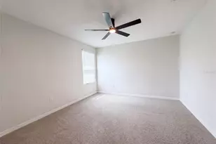 10448 Carloway Hills Dr, Wimauma, FL 33598 - Photo 4