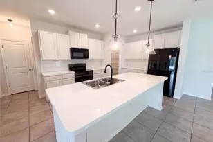 10448 Carloway Hills Dr, Wimauma, FL 33598 - Photo 14