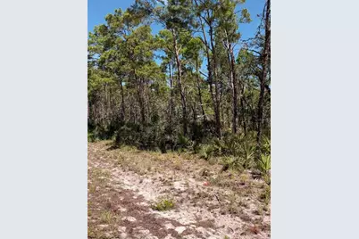 7708 Wynn Street, Sebring, FL 33872 - Photo 2