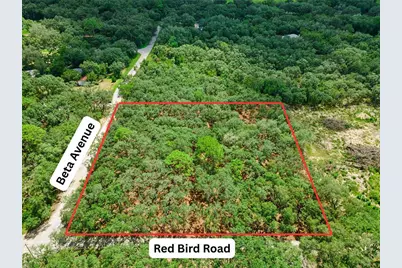 17206 Red Bird Road, Winter Garden, FL 34787 - Photo 6