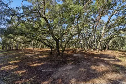17206 Red Bird Road, Winter Garden, FL 34787 - Photo 12