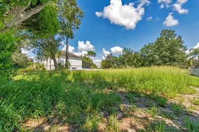 Dingens Avenue, Windermere, FL 34786 - Photo 2