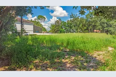 Dingens Avenue, Windermere, FL 34786 - Photo 8