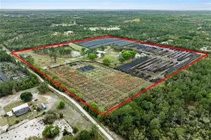 40945 Beach Rd, Eustis, FL 32736 - Photo 2