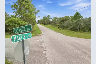 213 Marlin Street NW, Lake Placid, FL 33852 - Photo 4