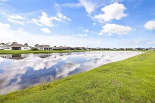 2984 Cherry Blossom Loop, Saint Cloud, FL 34771 - Photo 32
