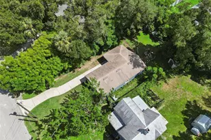 31434 Summit St, Sorrento, FL 32776 - Photo 46