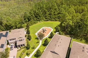 14961 Lebeau Loop, Winter Garden, FL 34787 - Photo 78