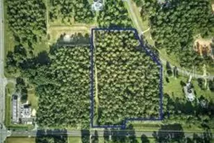 Panther Ridge Rd, Eustis, FL 32736 - Photo 1