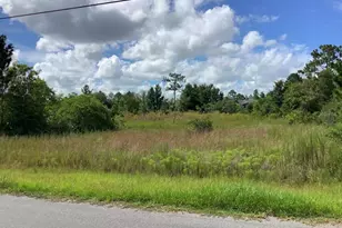 Northcliff, Orlando, FL 32833 - Photo 1