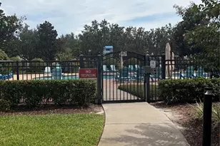 6436 Golden Dewdrop Trail, Windermere, FL 34786 - Photo 6