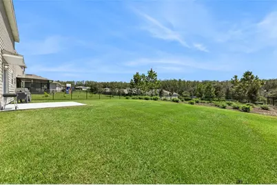 5478 Limestone Street, Mount Dora, FL 32757 - Photo 34