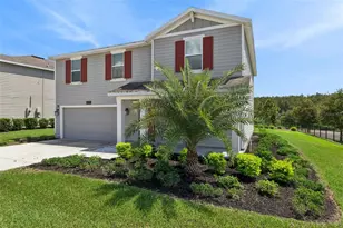 5478 Limestone St, Mount Dora, FL 32757 - Photo 4
