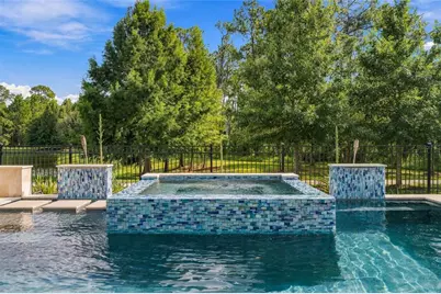 12688 Salomon Cove Drive, Windermere, FL 34786 - Photo 18