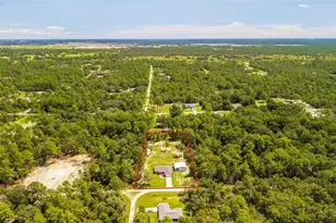 9191 SW 125th Terrace, Dunnellon, FL 34432 - Photo 44