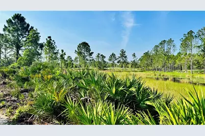 736 Farfields Street, Deland, FL 32724 - Photo 12