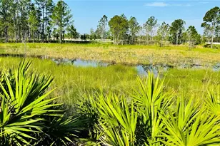 692 Birdswill Ln, Deland, FL 32724 - Photo 16