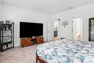 5984 Sacred Oak Ave, Mount Dora, FL 32757 - Photo 12