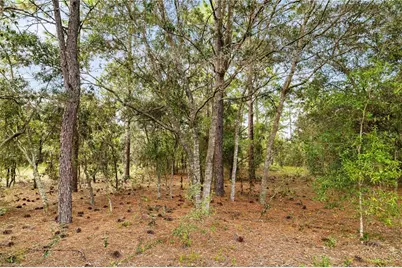 21987 SW Mango Lane, Dunnellon, FL 34431 - Photo 42