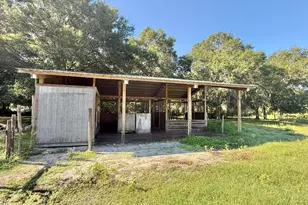 572 N Pine St, Pierson, FL 32180 - Photo 18