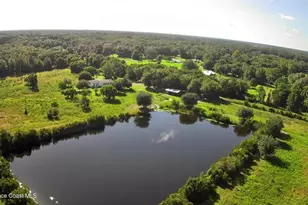 572 N Pine St, Pierson, FL 32180 - Photo 8