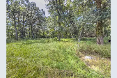 6177 County Rd 625, Bushnell, FL 33513 - Photo 44