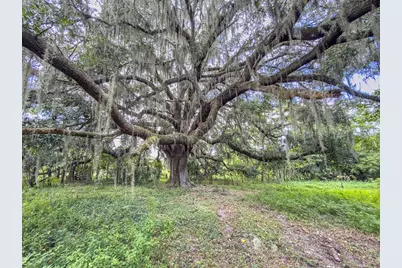 6177 County Rd 625, Bushnell, FL 33513 - Photo 48