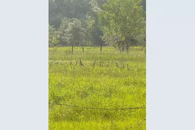 6177 County Rd 625, Bushnell, FL 33513 - Photo 52