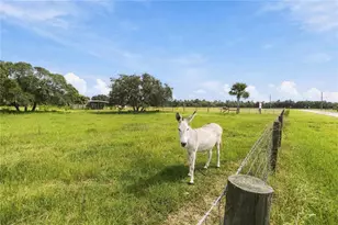Ranch Rd, Astatula, FL 34705 - Photo 1