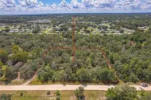 285 Shady Ln, Orange City, FL 32763 - Photo 1