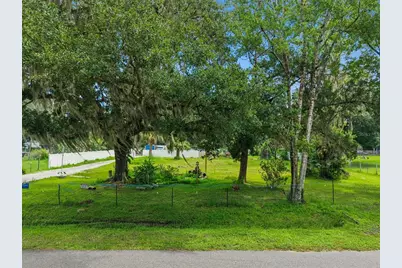 1003 Saint Catherine Avenue, Christmas, FL 32709 - Photo 2