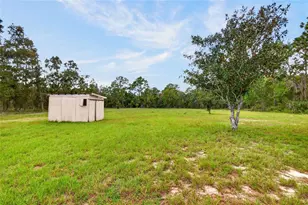 10260 SE 129th Ct, Dunnellon, FL 34431 - Photo 24