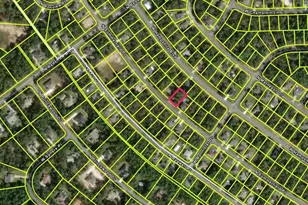 5705 N Summerfield Point, Citrus Springs, FL 34434 - Photo 1