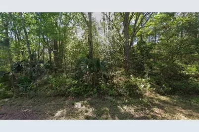 423 Dogwood Avenue, Georgetown, FL 32139 - Photo 4