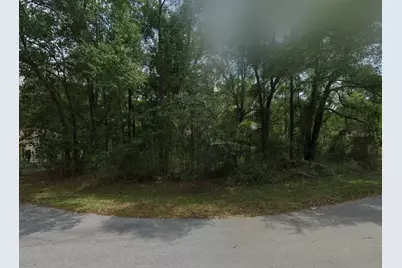 Lot 41 SW 96th Street, Dunnellon, FL 34432 - Photo 1