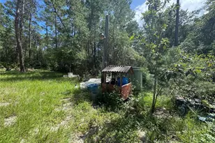 [Address not provided], Florahome, FL 32140 - Photo 6