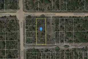 1137 Twin Lakes Blvd, Interlachen, FL 32148 - Photo 1