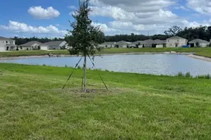 3329 Spineywood Dr, Ocoee, FL 34761 - Photo 18