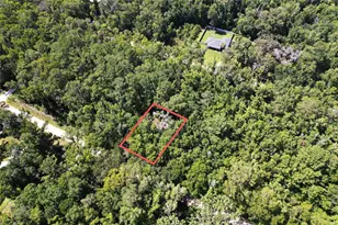 SW 13th Pl, Ocala, FL 34481 - Photo 1