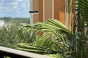 12527 Floridays Resort Dr, Orlando, FL 32821 - Photo 2