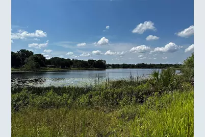 County Road 450, Umatilla, FL 32784 - Photo 10