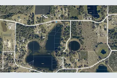 County Road 450, Umatilla, FL 32784 - Photo 2