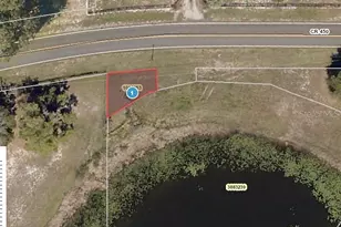 County Road 450, Umatilla, FL 32784 - Photo 1