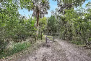 2415 Waccassa St, Geneva, FL 32732 - Photo 12
