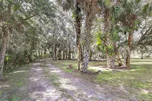 2415 Waccassa St, Geneva, FL 32732 - Photo 48