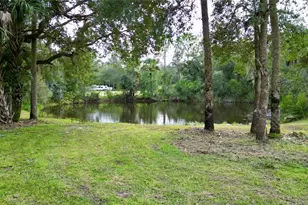 2415 Waccassa St, Geneva, FL 32732 - Photo 4