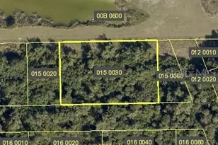 Madrid St, Estero, FL 33928 - Photo 1